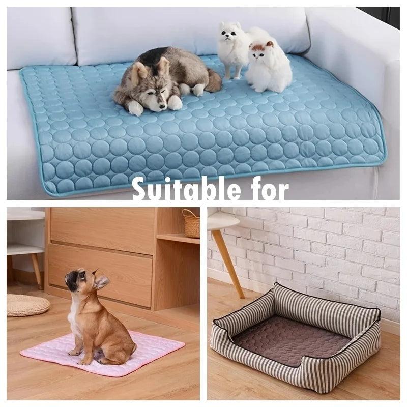 IceDog Matte