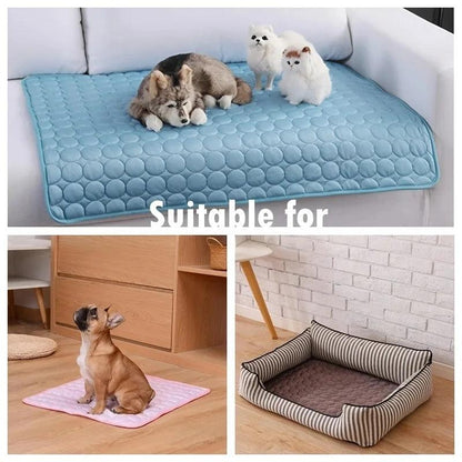 IceDog Matte
