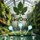 LeafDrop