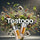 TeaToGo